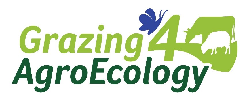 Logo 2